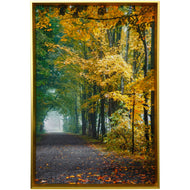 Fall Path Framed Print by StyleCraft WM13068