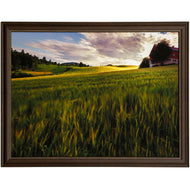 Fields of Gold by StyleCraft WM13081