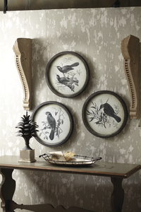 Individual Round Bird Pen & Ink Wall Art with Glass by Ganz 110250