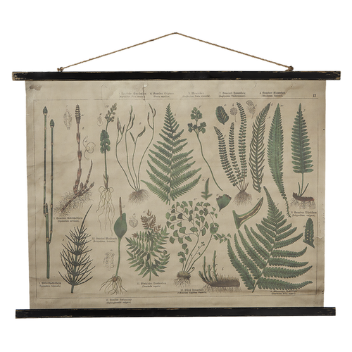 Botanical Rolled Antique Canvas Wall Decor by Ganz 132183