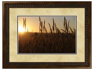 Summer Wheat Pam Lake by Midwest Art