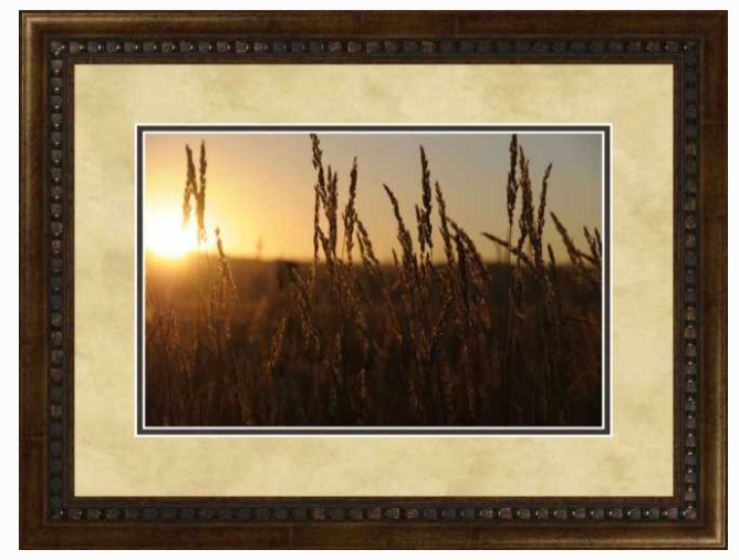 Summer Wheat Pam Lake by Midwest Art