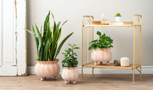 Load image into Gallery viewer, Round Tapered Terracotta Finish Planters by Ganz CB181705