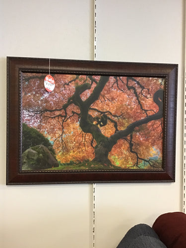 Japanese Maple in Autumn by Midwest Art